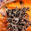 Oolong Mansong 'Organic' de Corée du Sud　「Rousseur Intense」exclusivité Curiousitea